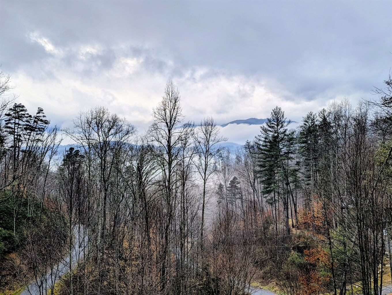 Foggy Morning Photo captured by one of our fabulous guests!