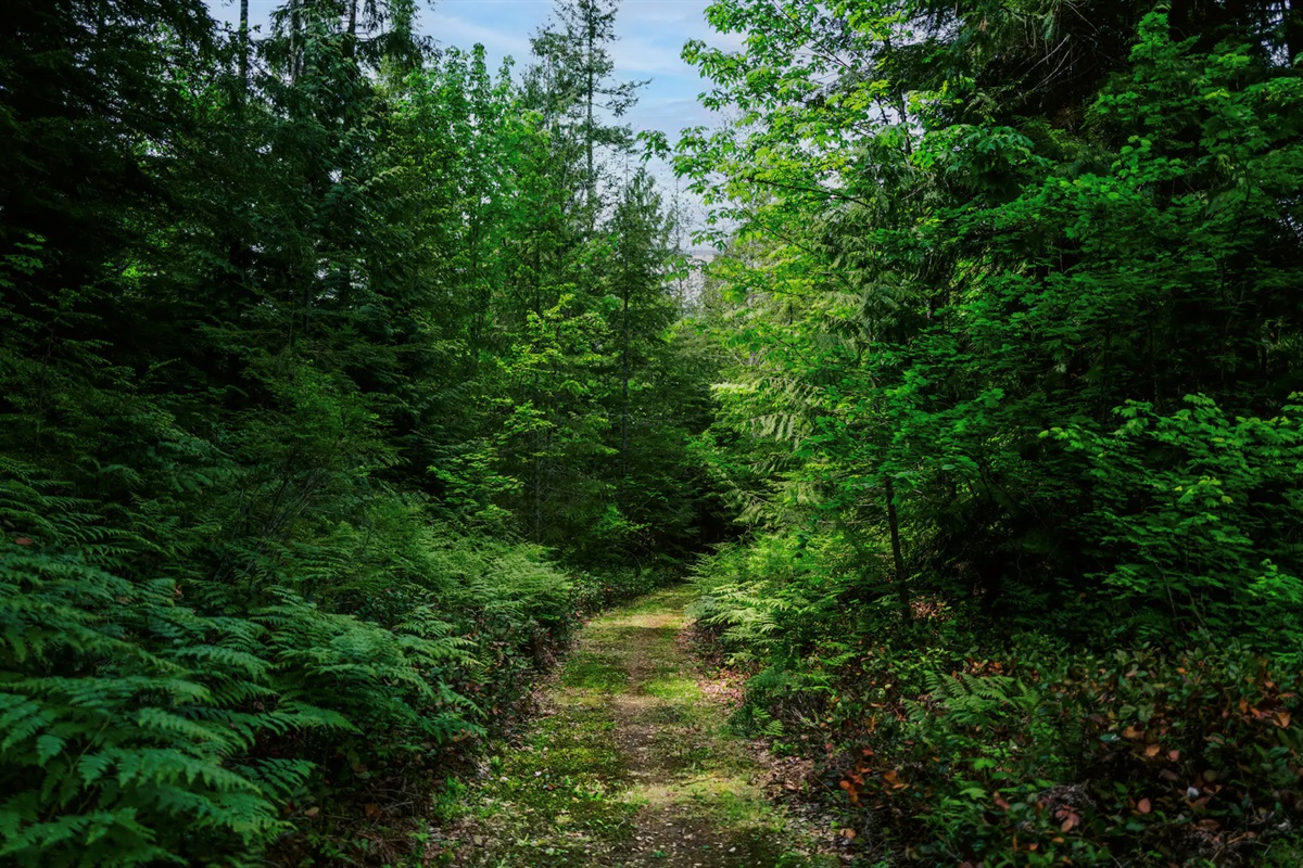 Enjoy the private  loop trails around the 14 acre property