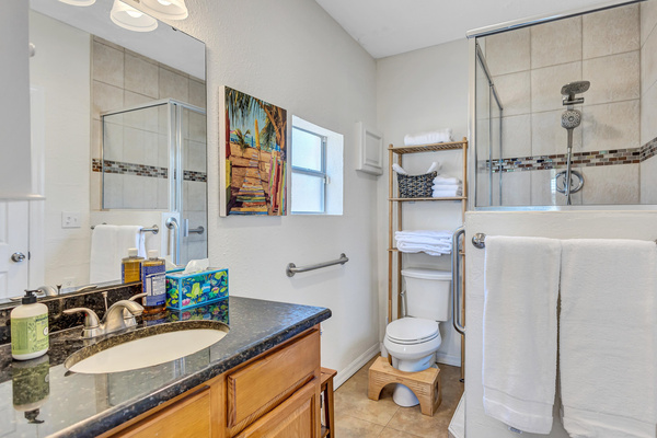 2nd bath with grab bars