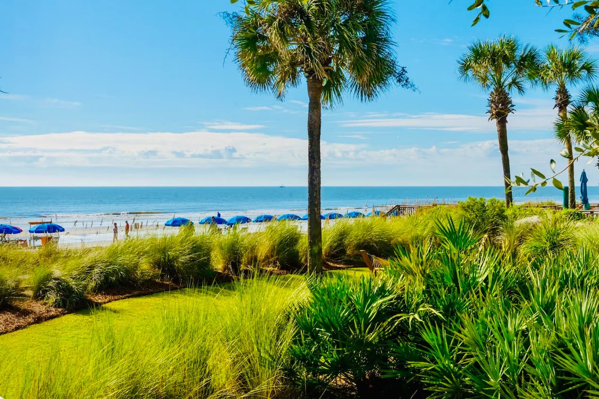 Path to the beach