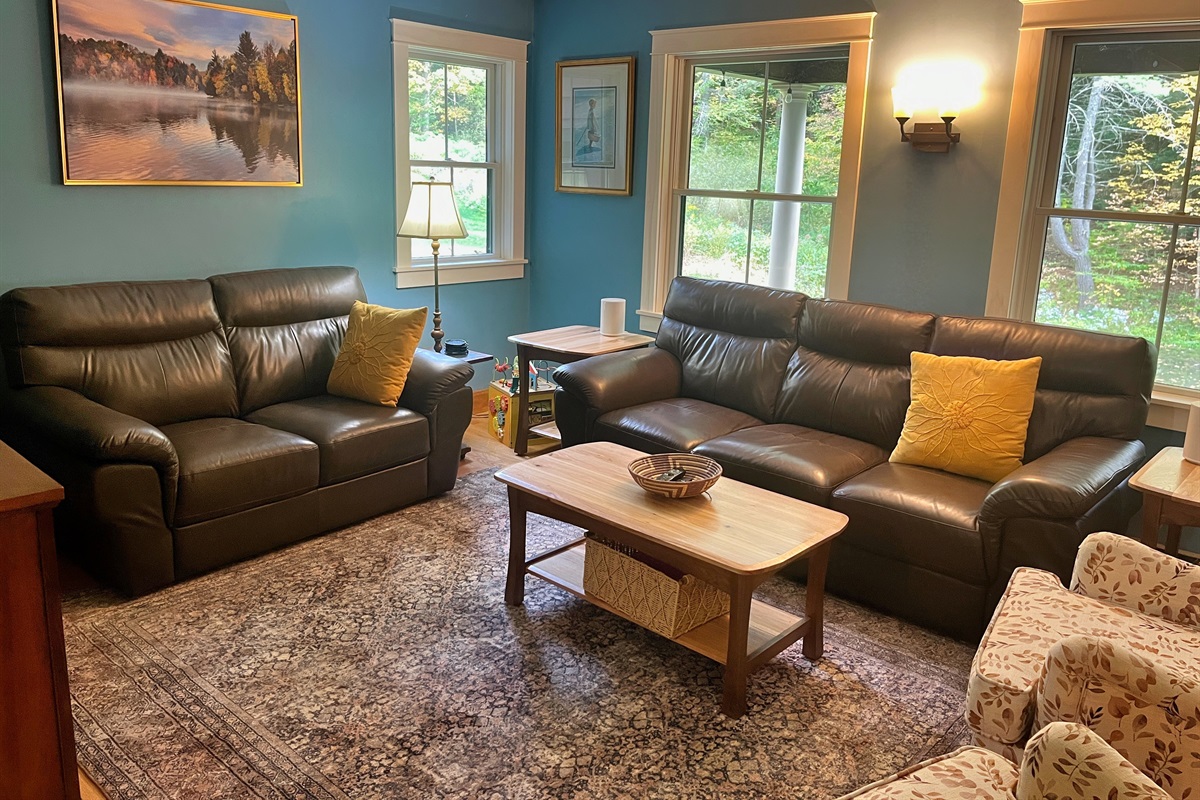 Comfy couches in the TV area