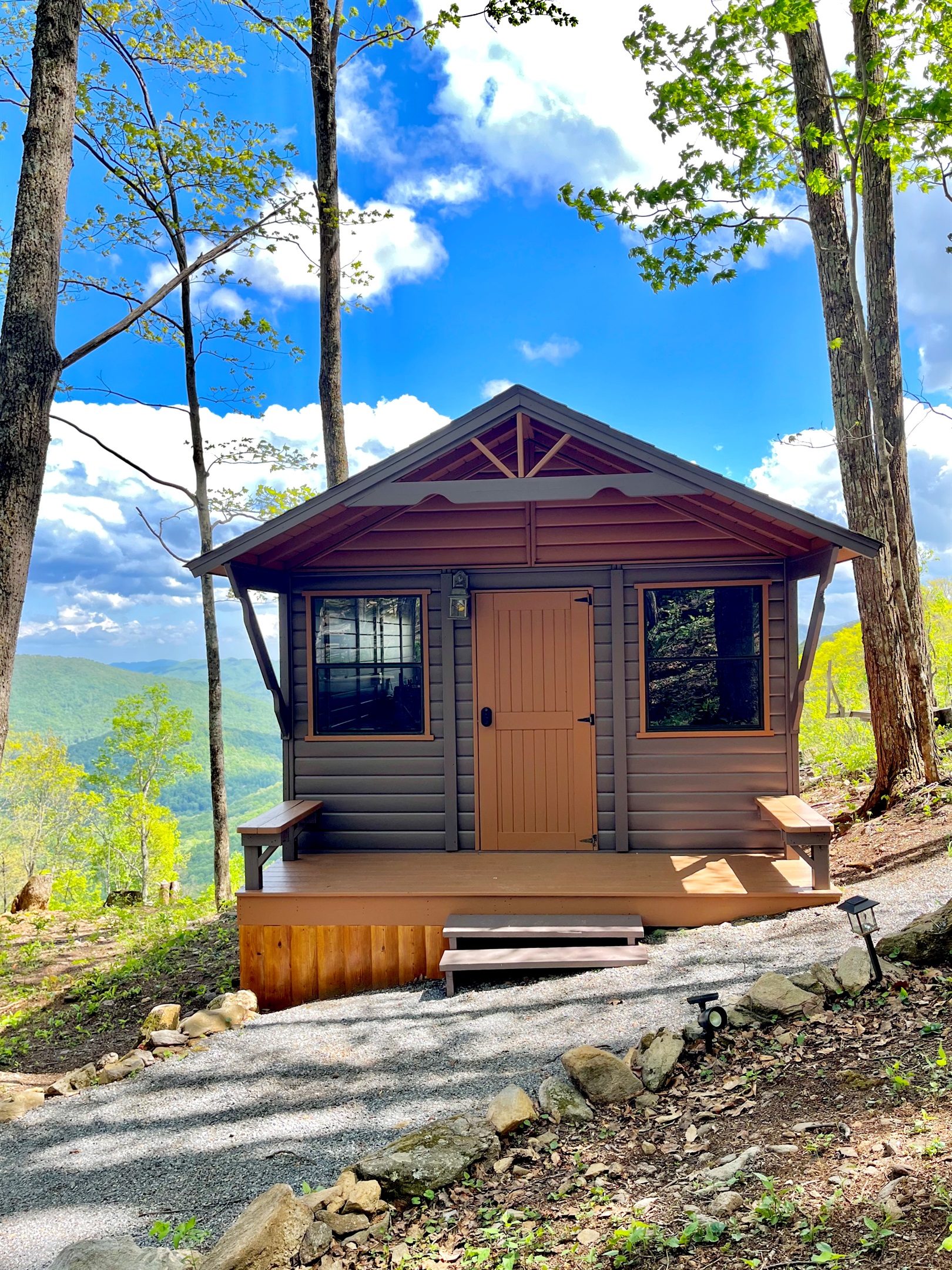 Welcome to Shroom with a View!