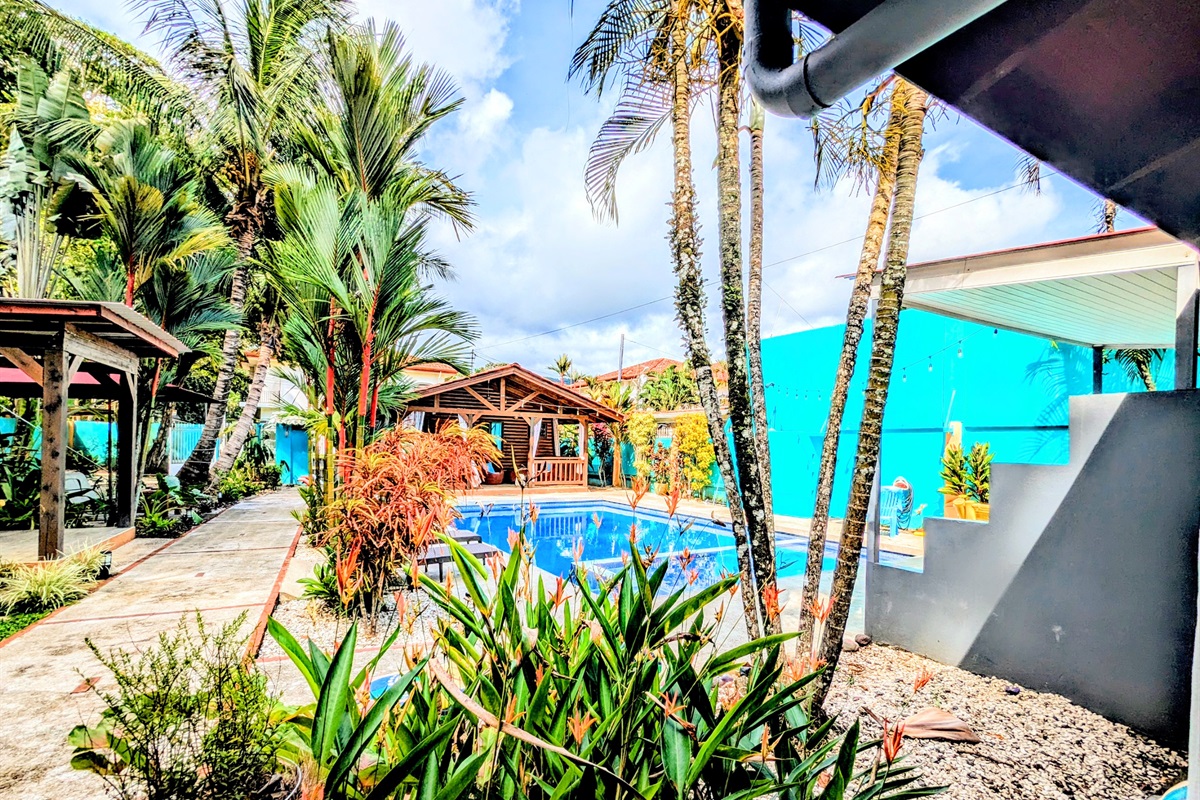 Pool and Garden