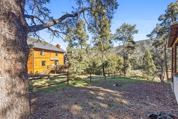 Serene back patio, surrounded by peaceful nature and fresh mountain air.
