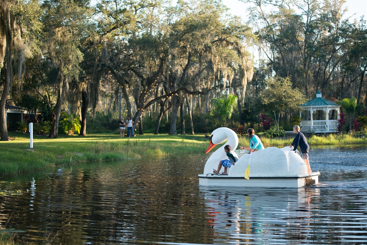 Family-friendly fun with paddle boats on the water