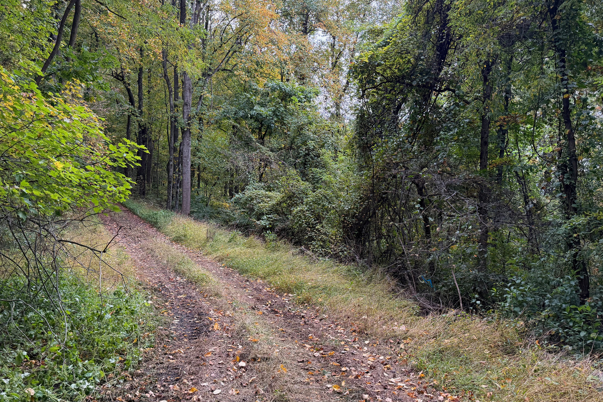 Numerous trails are on the 26 acre property, which you are free to use. We do have many wild animals to enjoy watching, but do take care and be safe. Read through the Guest Welcome Book about safety before you venture off.