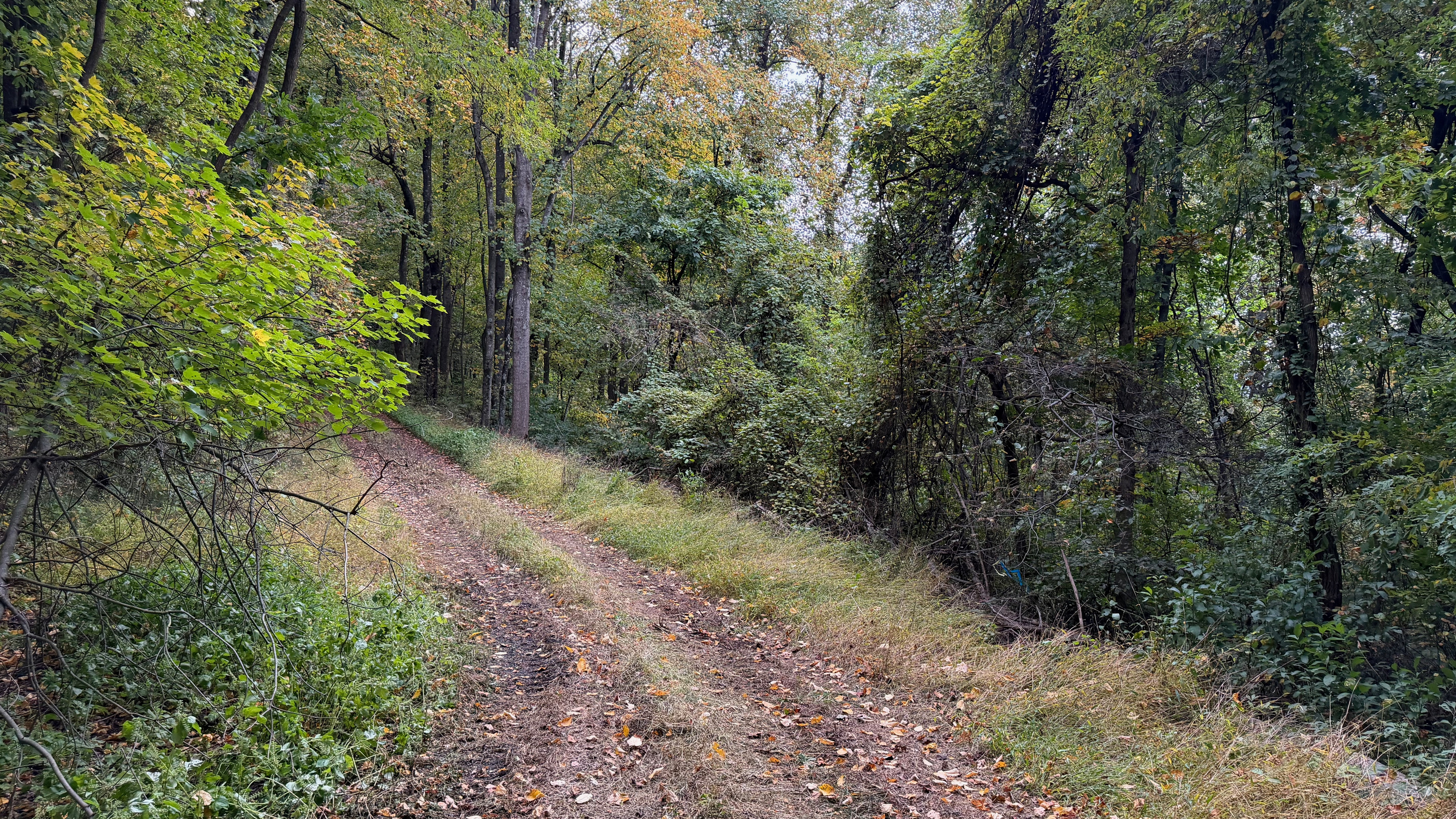 Numerous trails are on the 26 acre property, which you are free to use. We do have many wild animals to enjoy watching, but do take care and be safe. Read through the Guest Welcome Book about safety before you venture off.