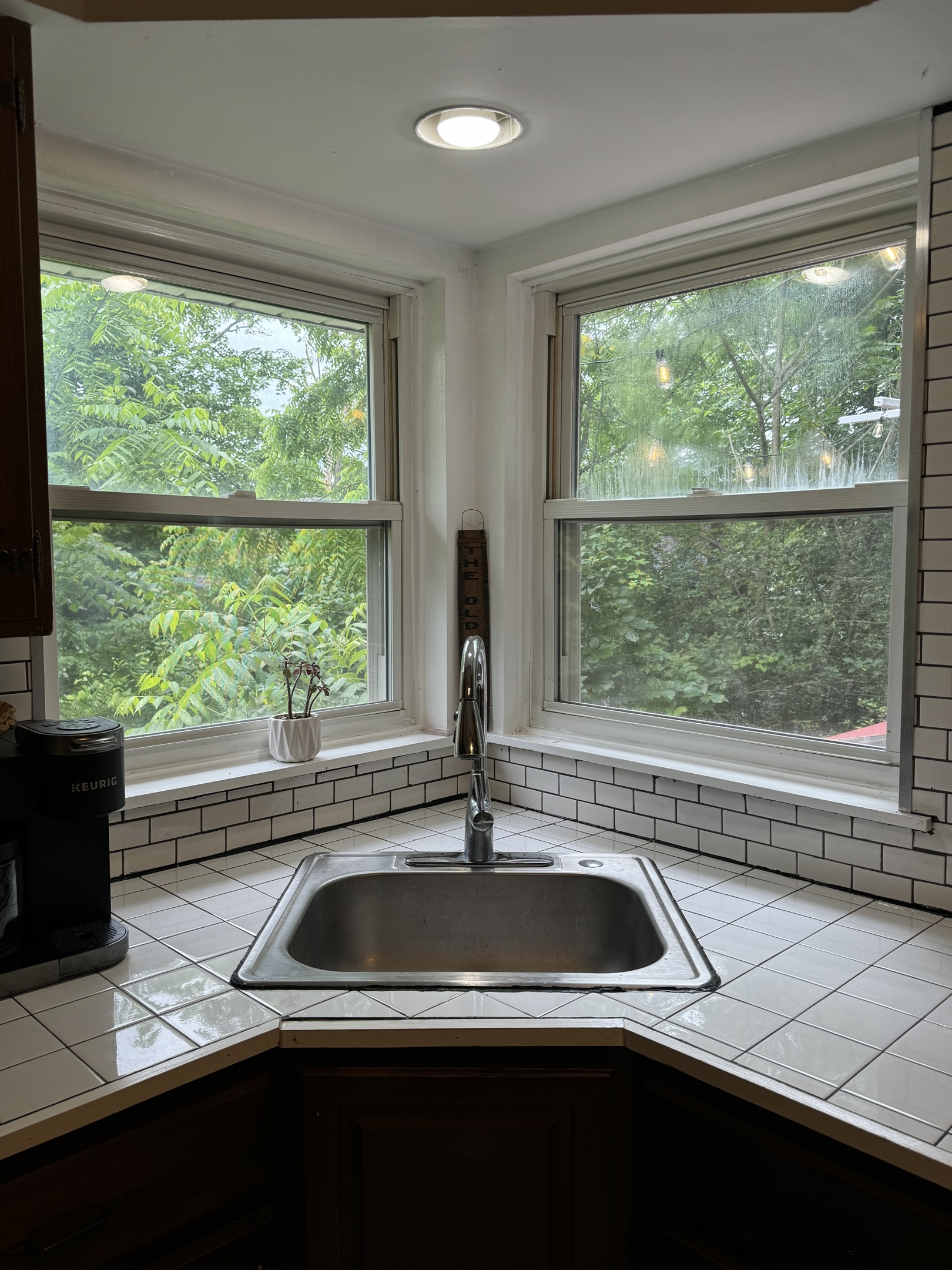 Corner sink with a bit of a view of the backyard