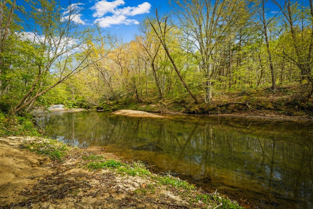 Walk down the river as you slow down and reconnect with nature.