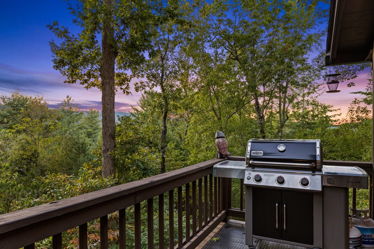 Fire up the grill and let the mountains do the seasoning.