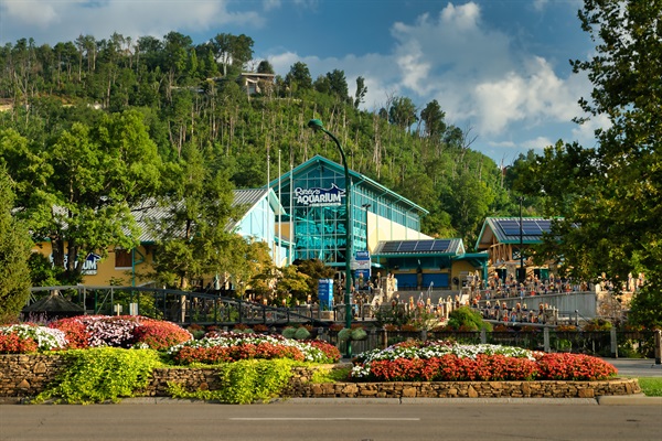 Ripleys Aquarium