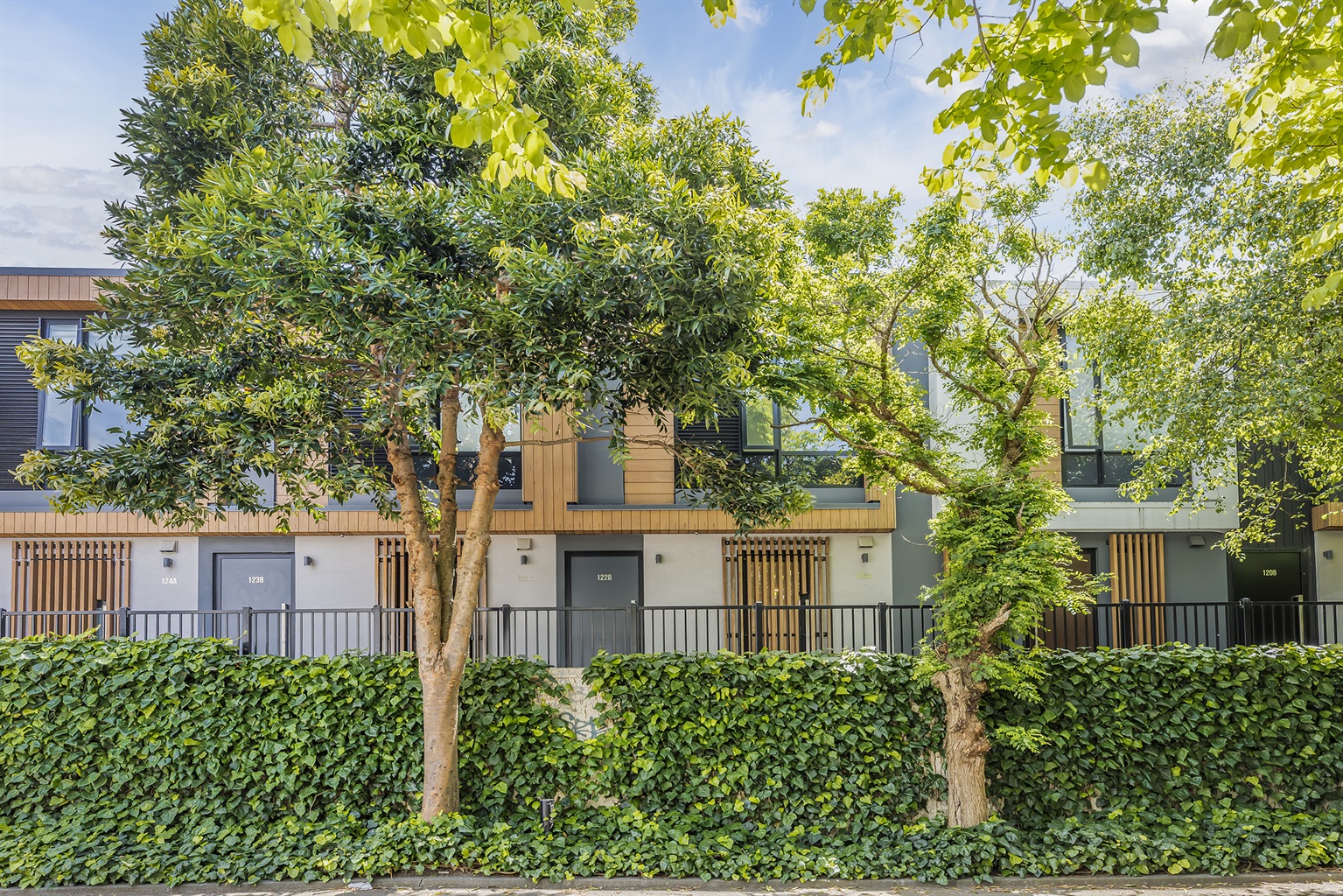 View from the Tree lined street