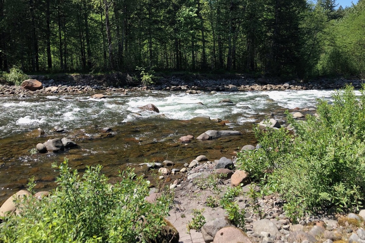 Sandy River trail is 10 minutes walk from the house