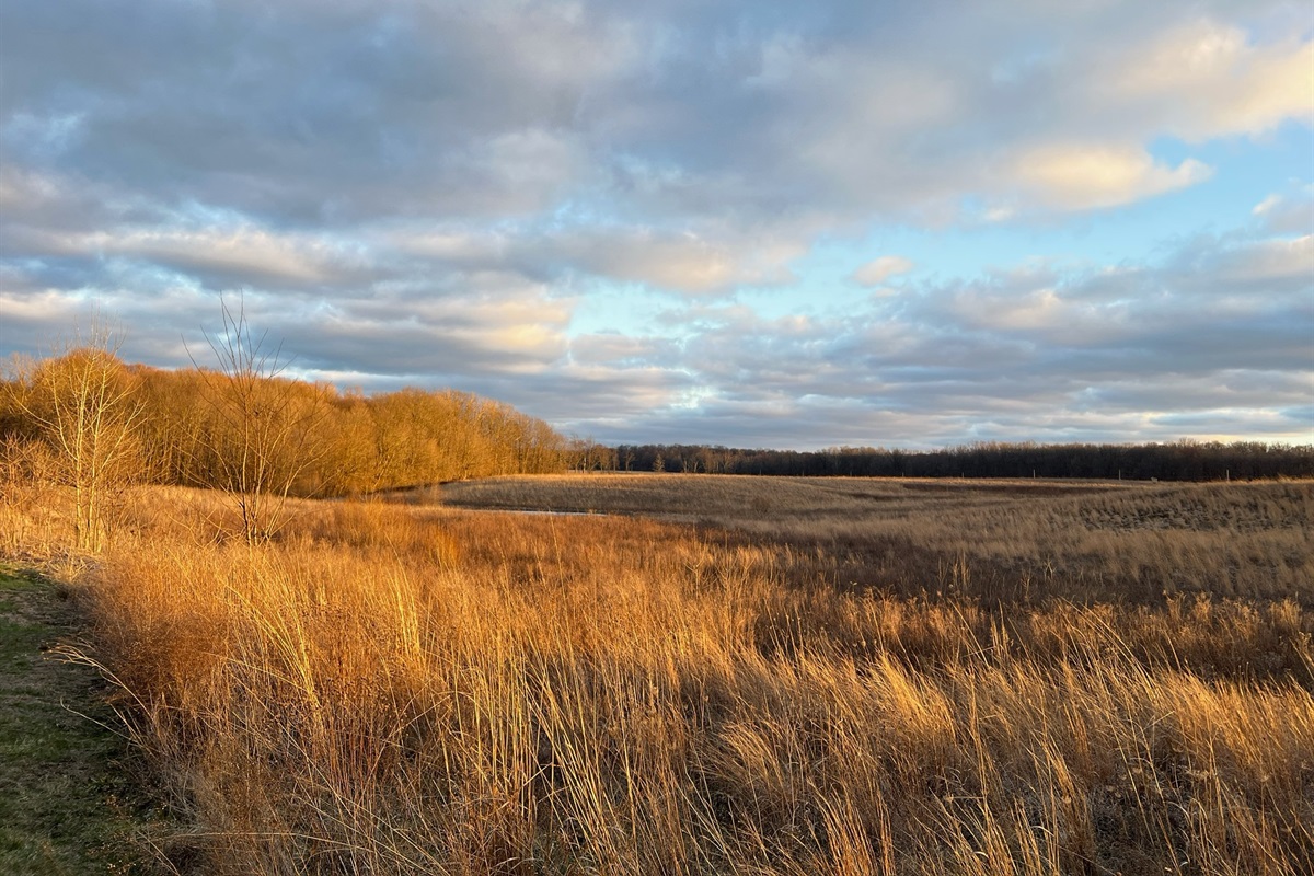 Wildflower Field behind Hilltop Haven in the Fall