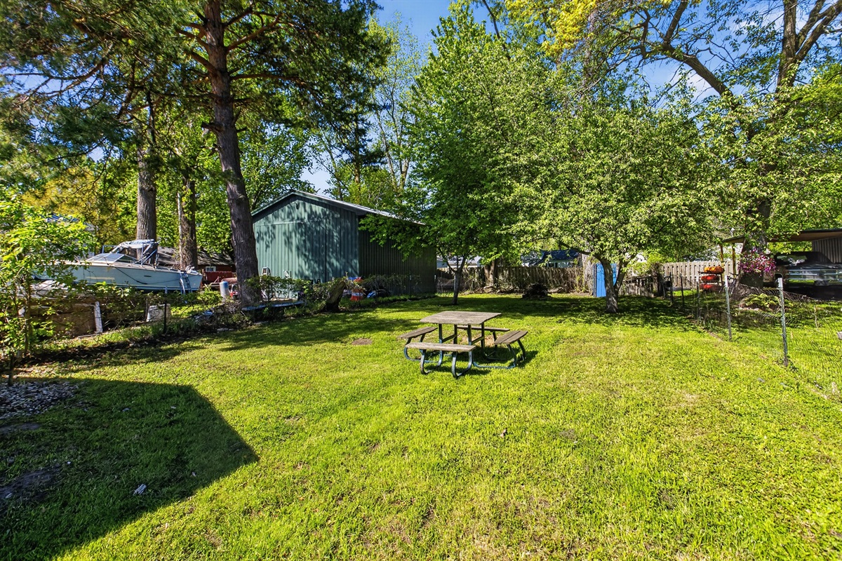 Backyard