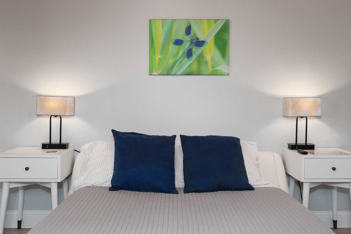 Bedroom with queen bed and Roku TV