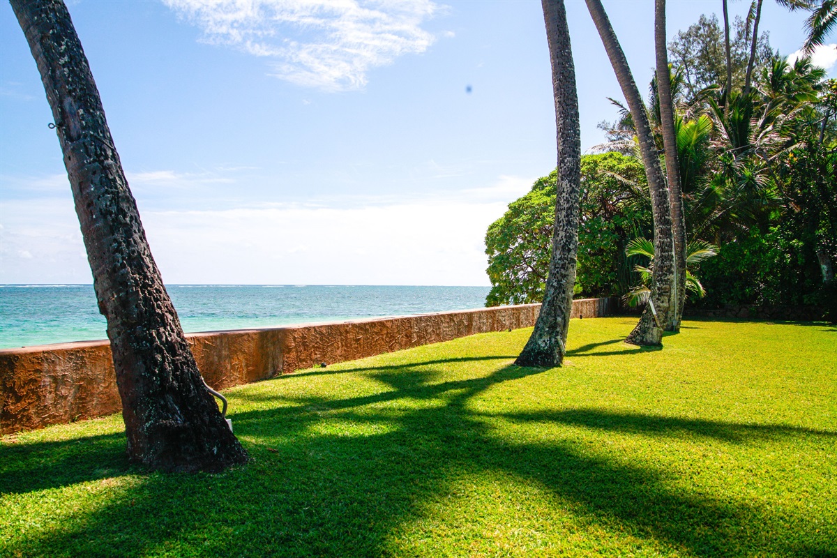 Large yard with swaying palm trees and room to play or relax and take in the incredible views.