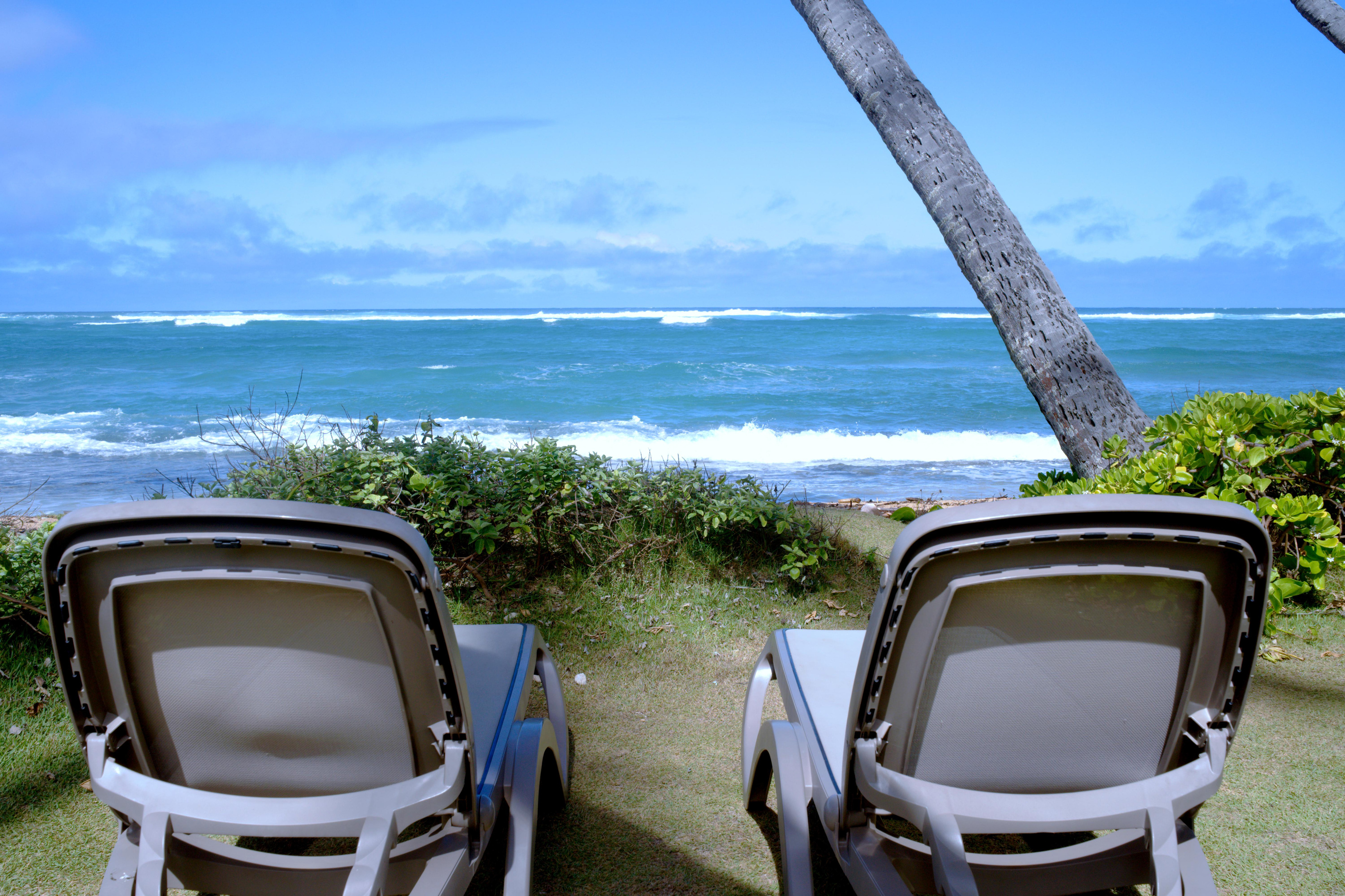 Lawn chairs for your relaxation