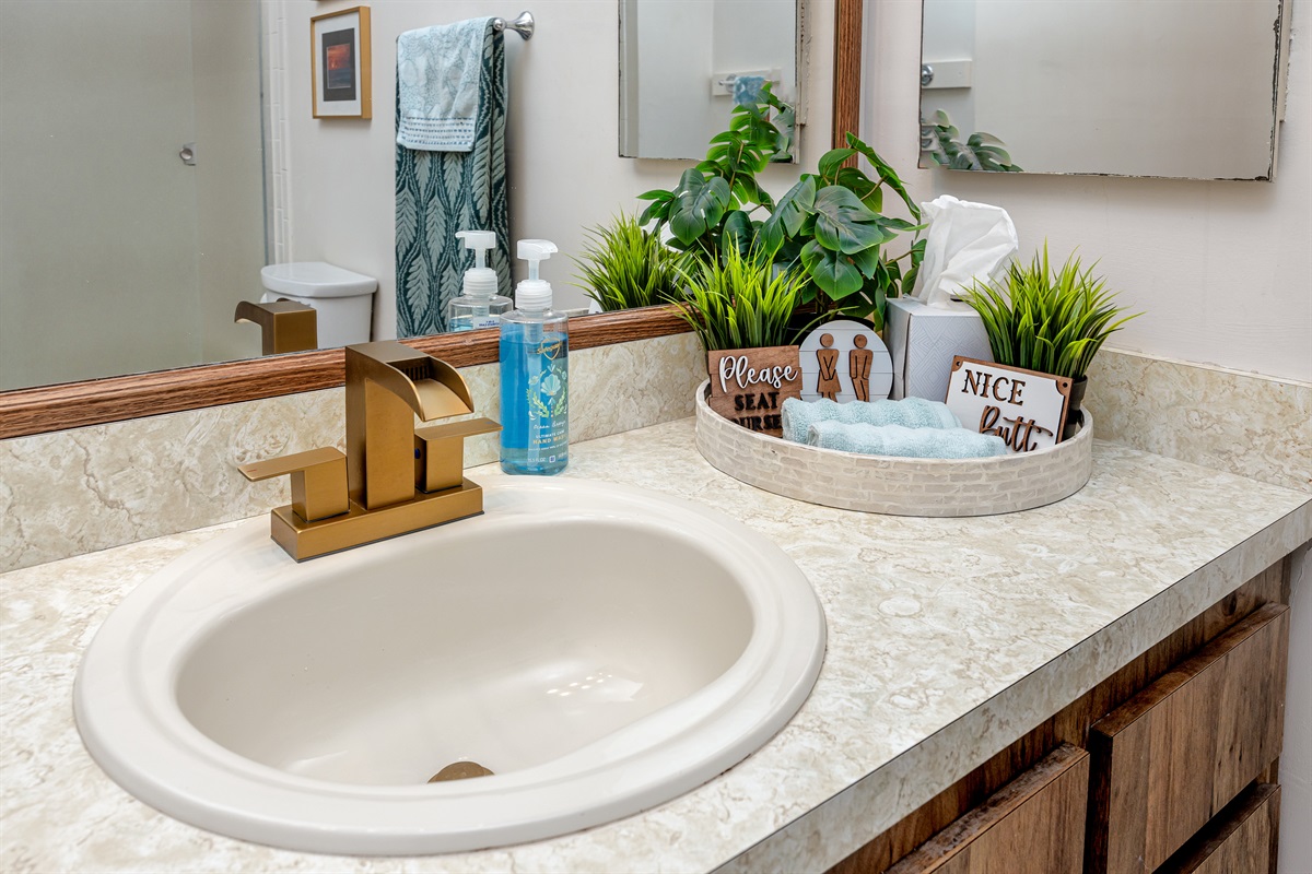 Master Bedroom Ensuite Bath