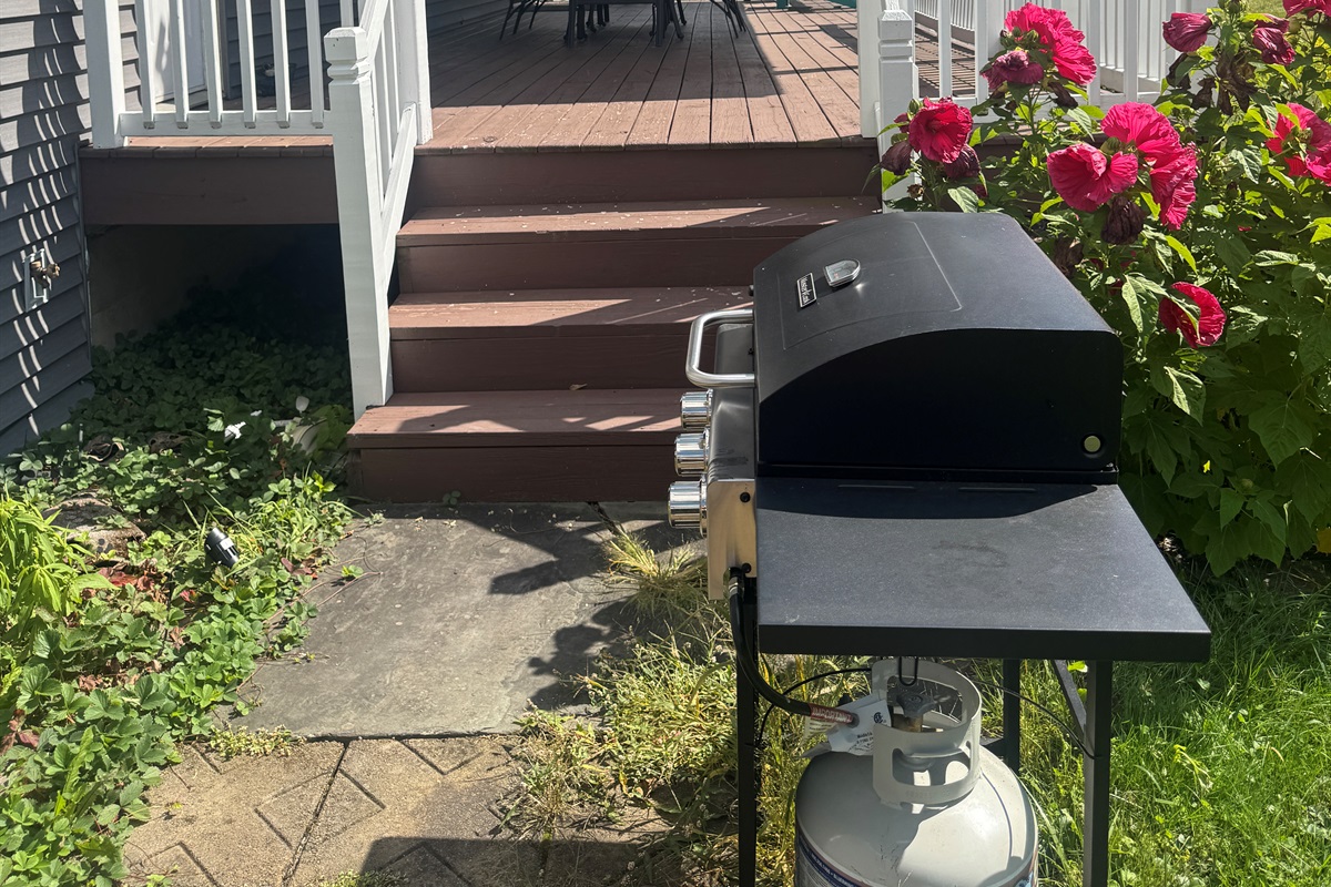 Gas grill next to covered rear porch
