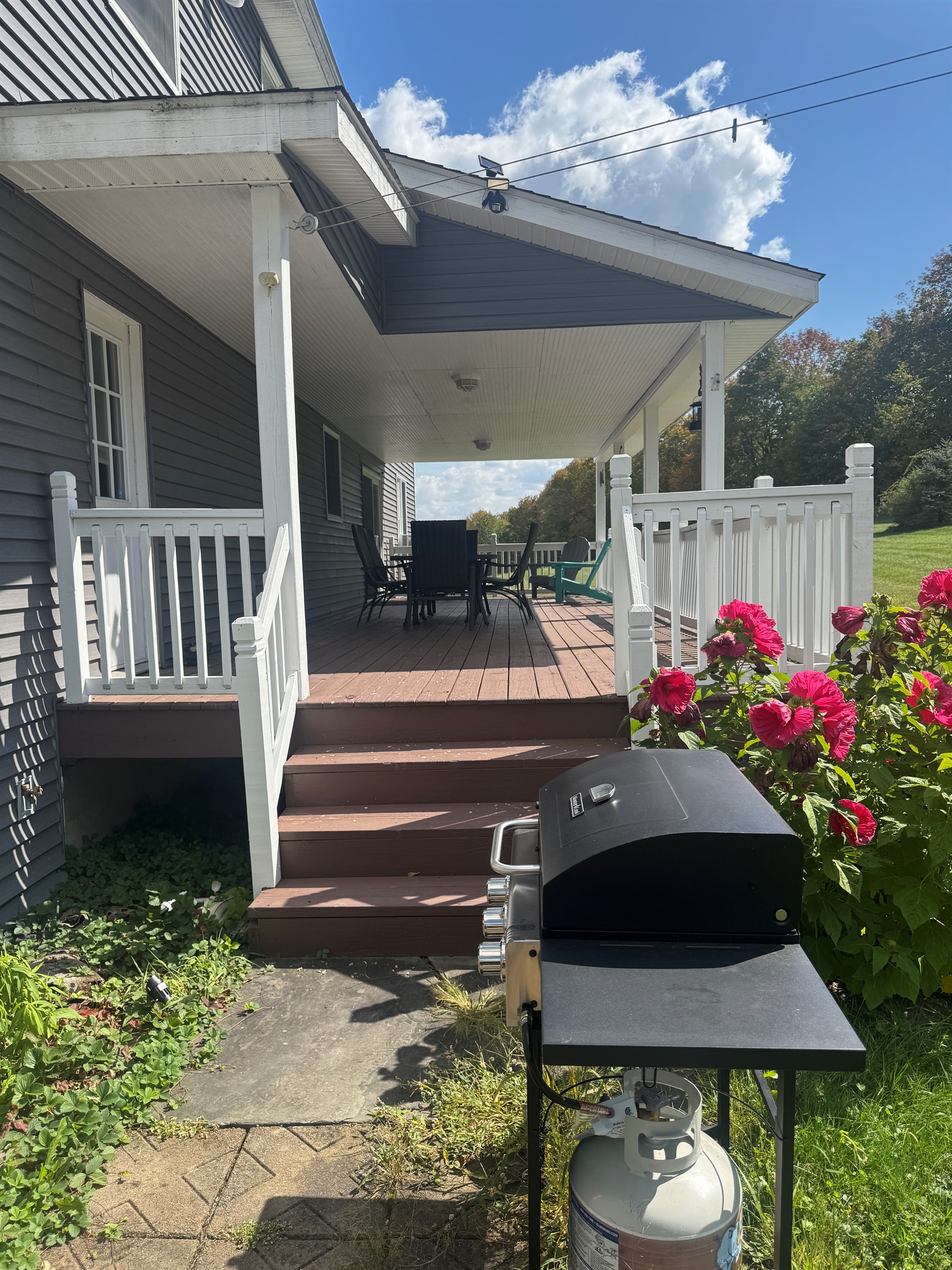 Gas grill next to covered rear porch