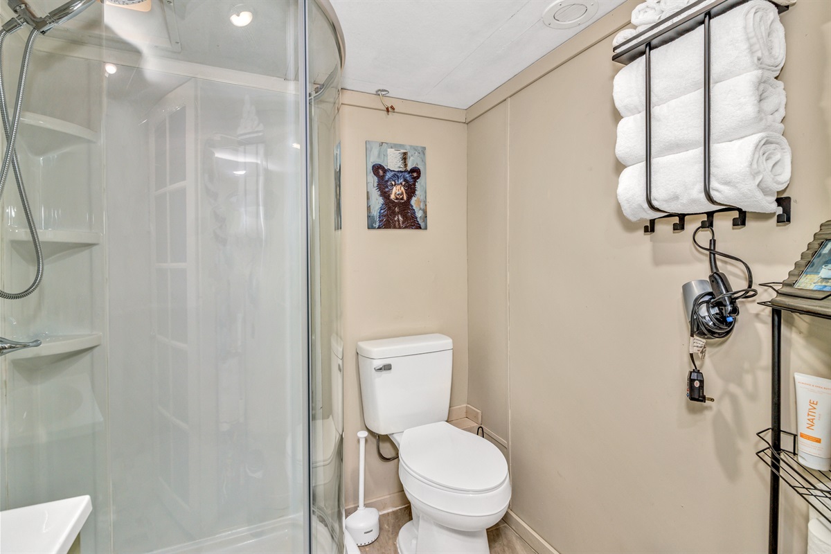 Bathroom with Shower