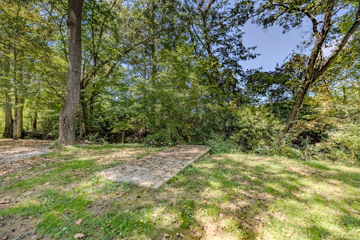 Immerse yourself in the forest. This clearing is a favorite spot for guests looking to truly disconnect and enjoy the tranquility and natural shade provided by the mature trees.