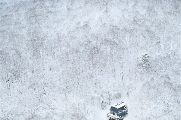 Winter Wonderland