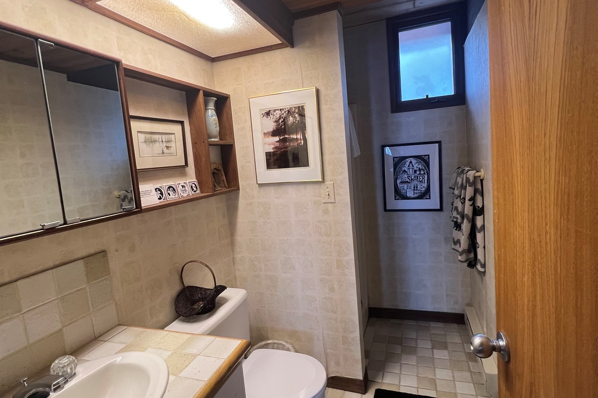 Lower level guest bath right wing 