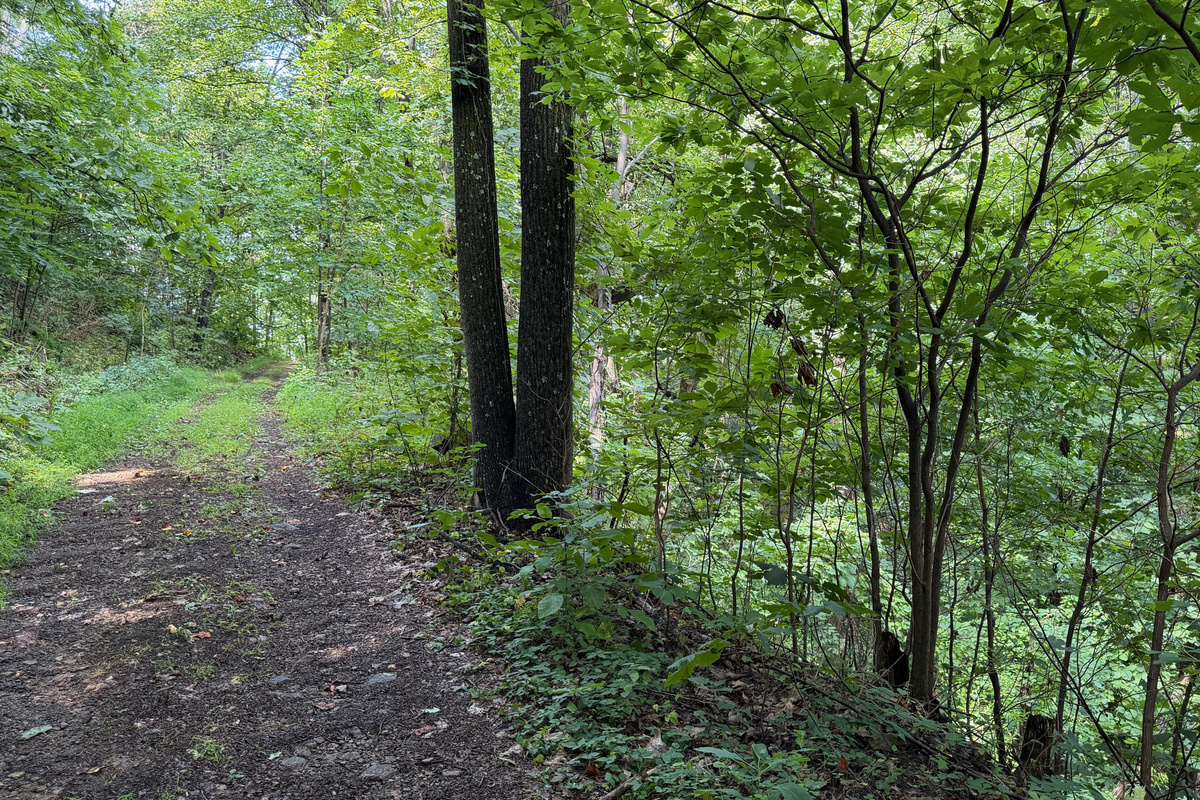 Numerous trails are on the 26 acre property, which you are free to use. We do have many wild animals to enjoy watching, but do take care and be safe. Read through the Guest Welcome Book about safety before you venture off.