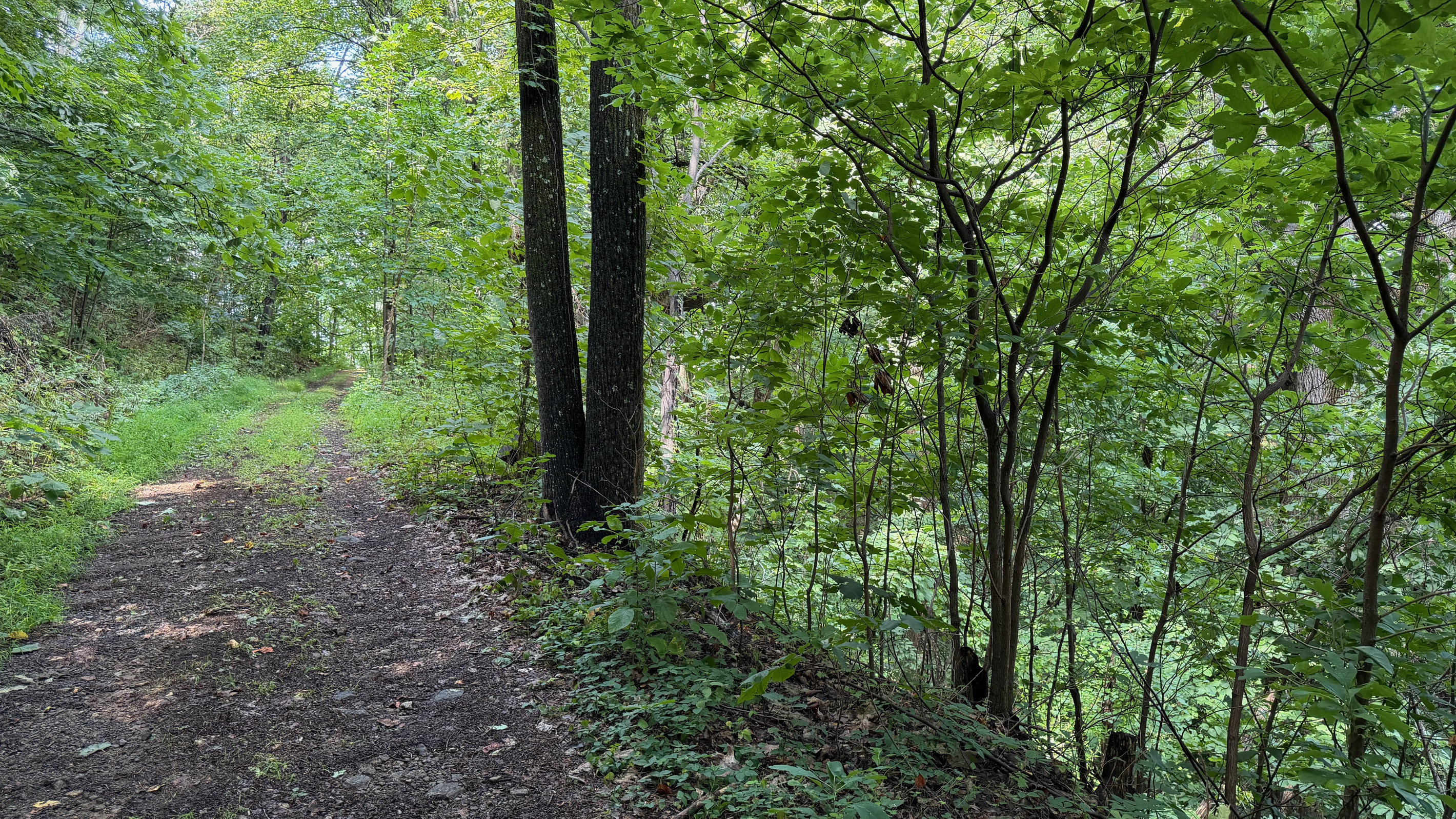 Numerous trails are on the 26 acre property, which you are free to use. We do have many wild animals to enjoy watching, but do take care and be safe. Read through the Guest Welcome Book about safety before you venture off.