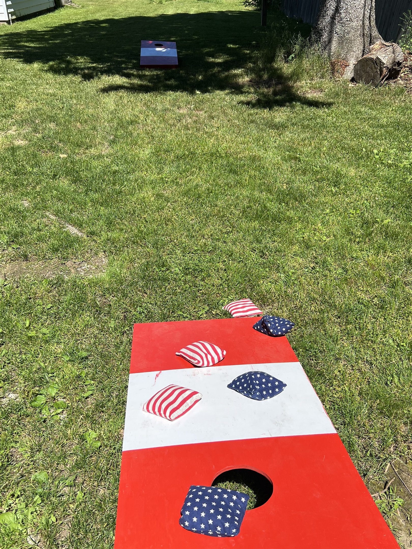 Cornhole in the backyard