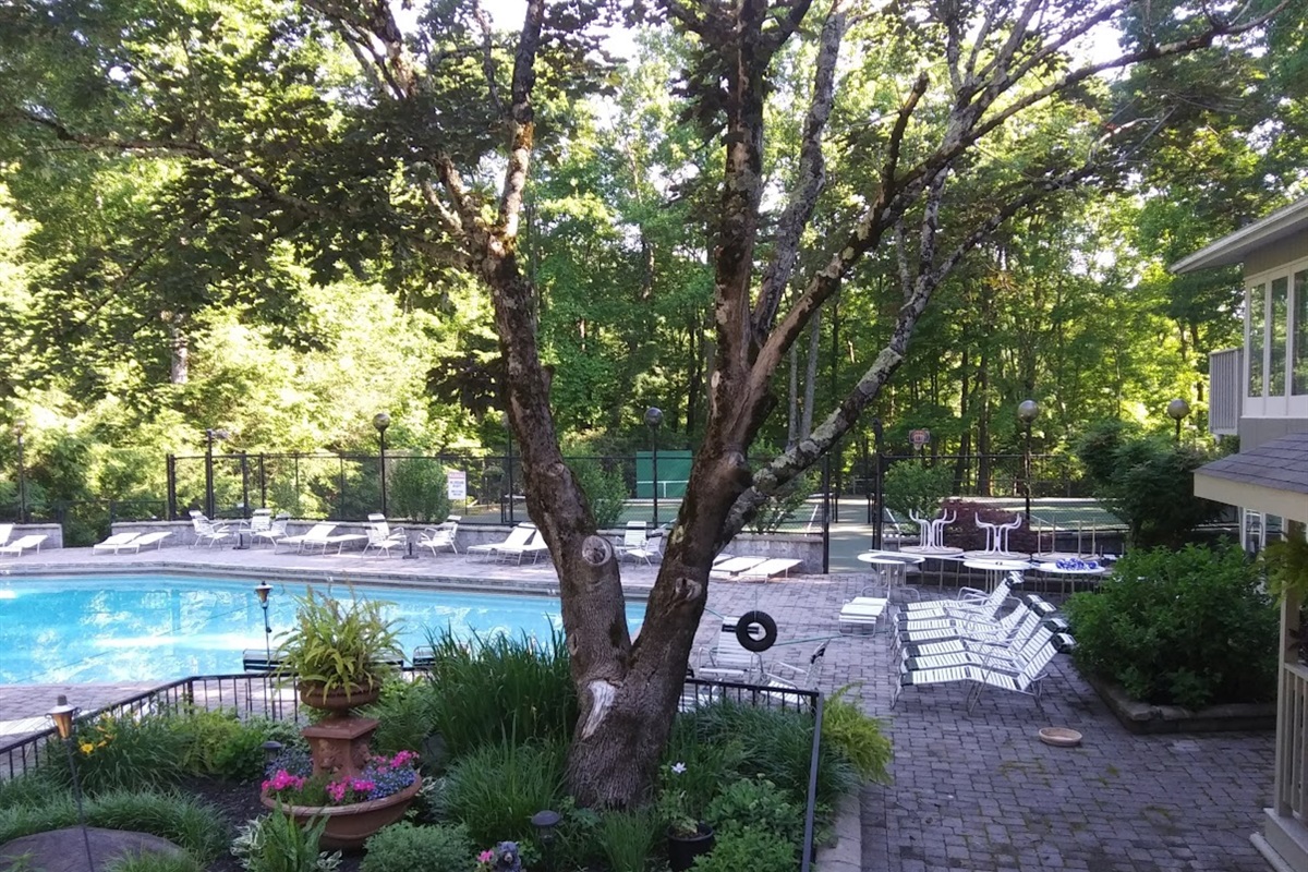 S BASDEN CLUBHOUSE POOL