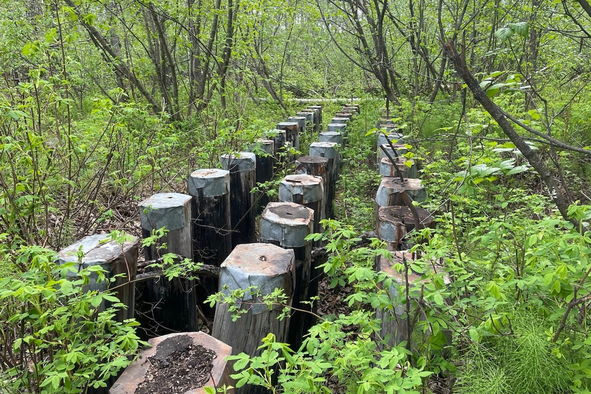 Nearby hiking trail - Palmer Rail Trail