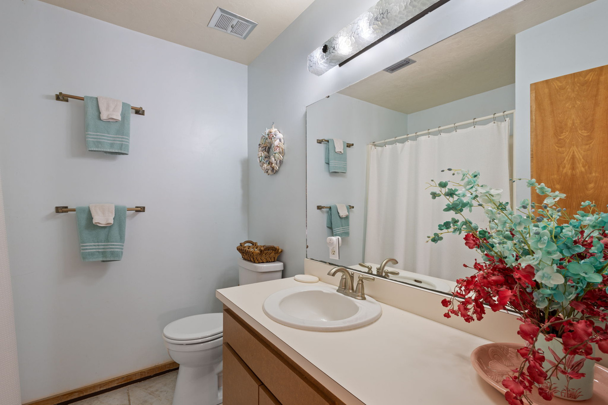 Full private bathroom for guest bedroom