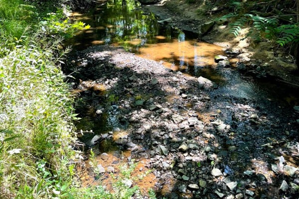 A creek runs through the backyard, attracting wild life including blue herons, owls, hawks, and deer. 