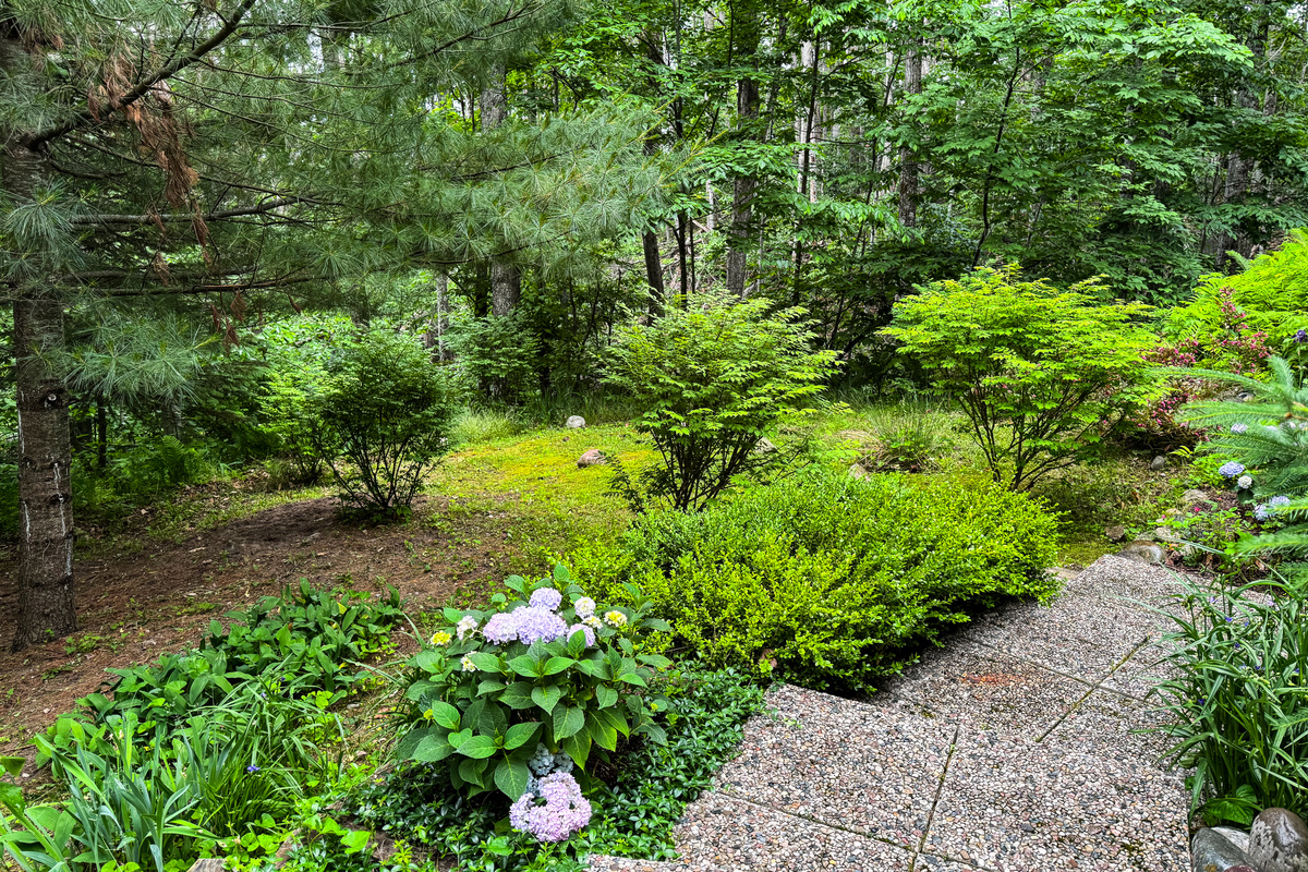 Walkway around the House