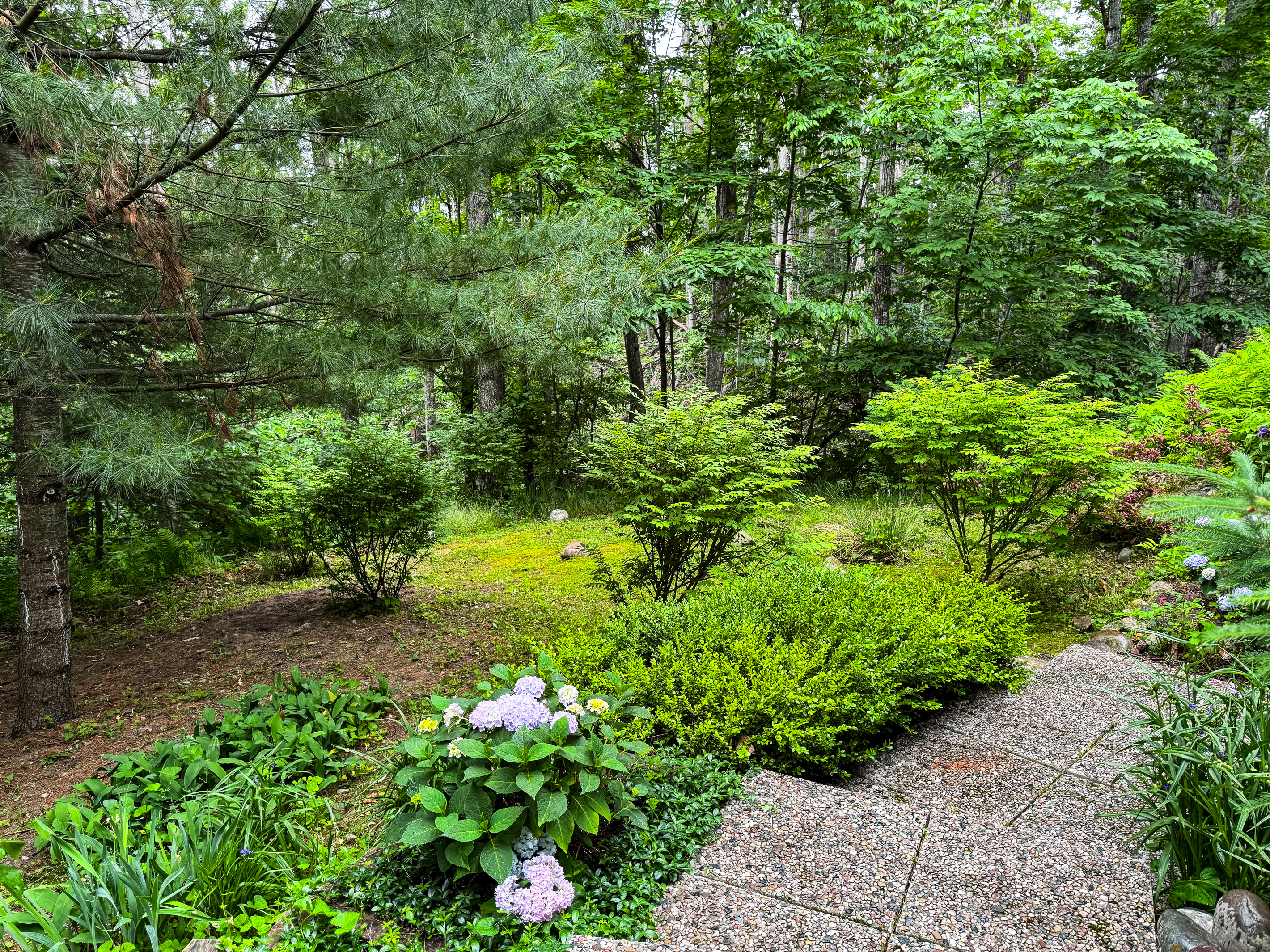 Walkway around the House
