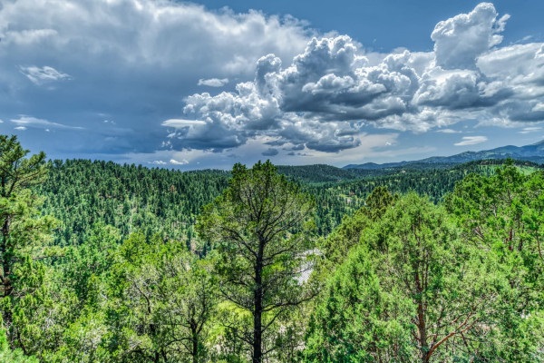 Take in the best of nature with vibrant green trees and clear blue skies — a stunning view that will leave you feeling refreshed and recharged!