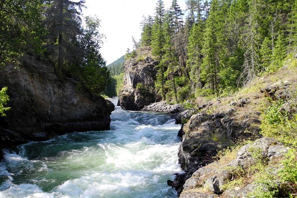 Shuswap Outdoor Nature