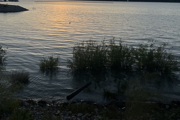 Sunsets from The Pines Lakefront