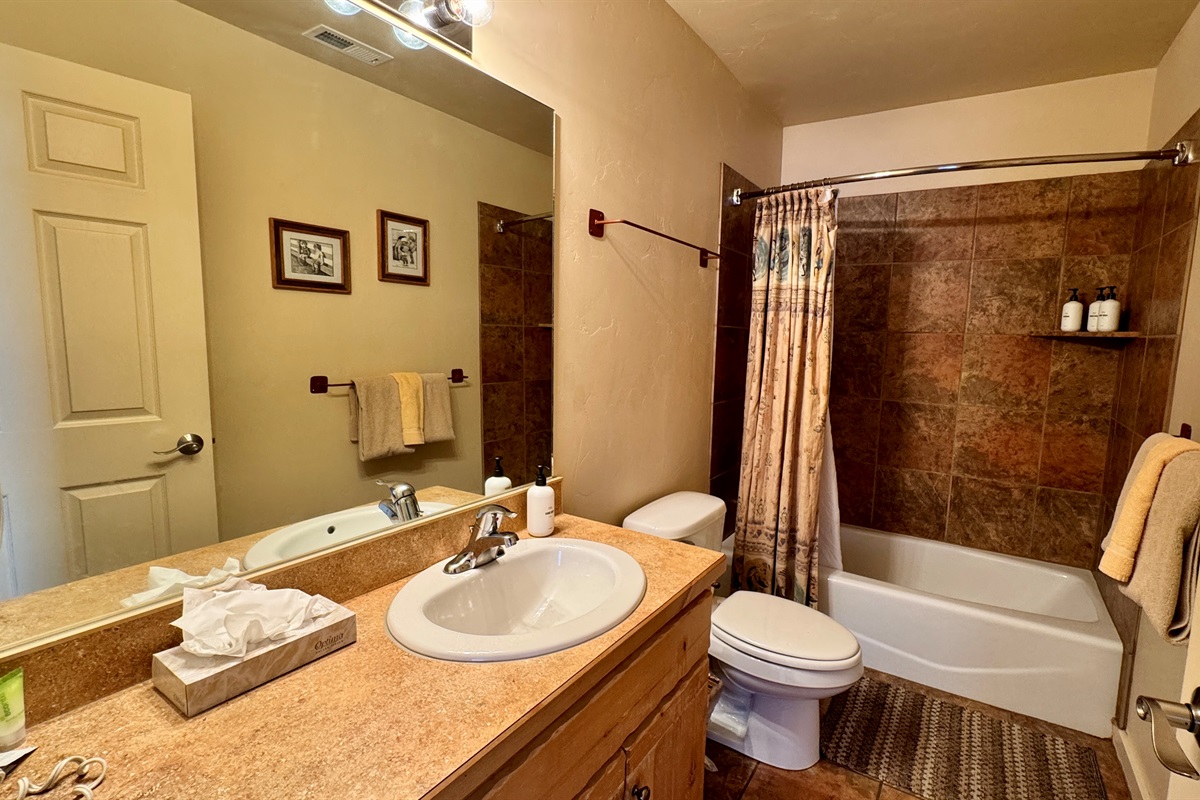 Guest Bathroom with Combination Shower/Tub