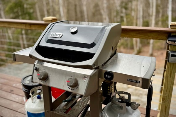Unit B Weber propane grill