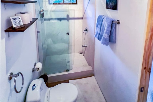 Newly updated bathroom with large rain shower.
