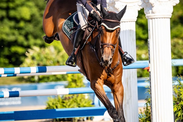 Sweetwater Solara is only 17 minutes from Flintfields Horse Park, making it an ideal home base for the Traverse City Horse Shows. After a full day at the fairgrounds, unwind lakeside with family, friends, and beautiful Northern Michigan sunsets.