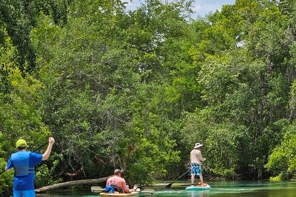 Kayaking the Weeki Wachee River is one of our favorite ways to explore the area surrounding Weeki Mermaid Retreat!