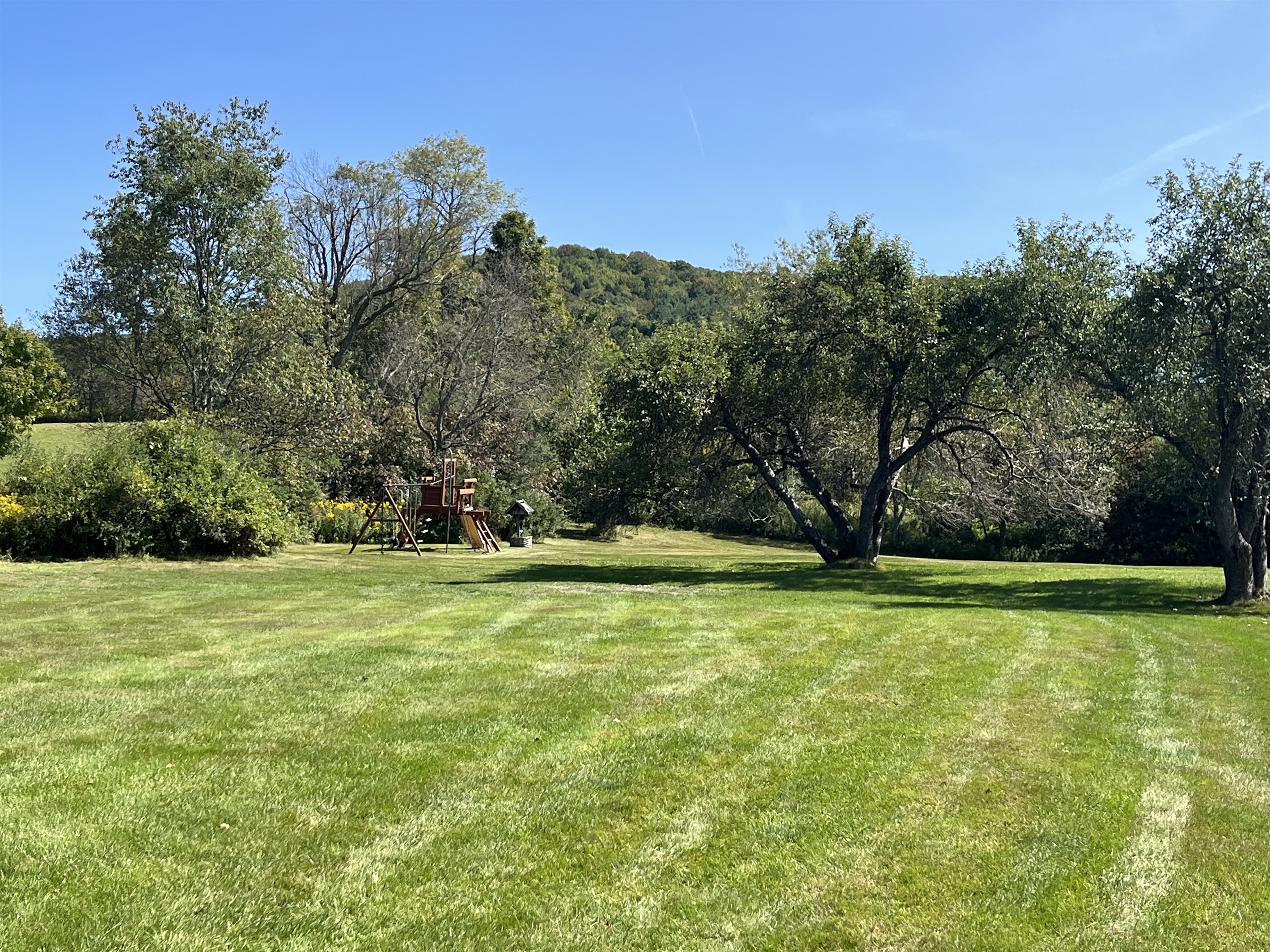 Lawn and playset