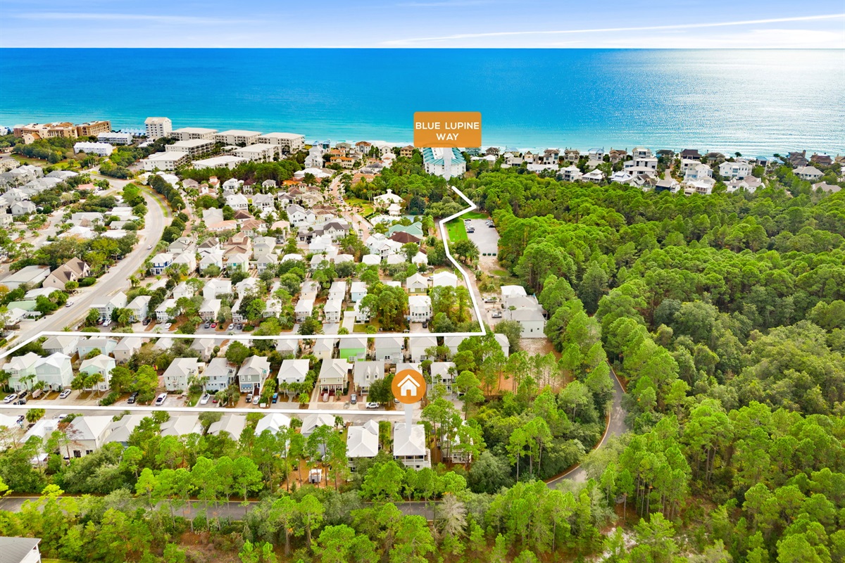 Blue Lupine Way Beach Access - Only accessible by walking (0.4 mi, few min walk)