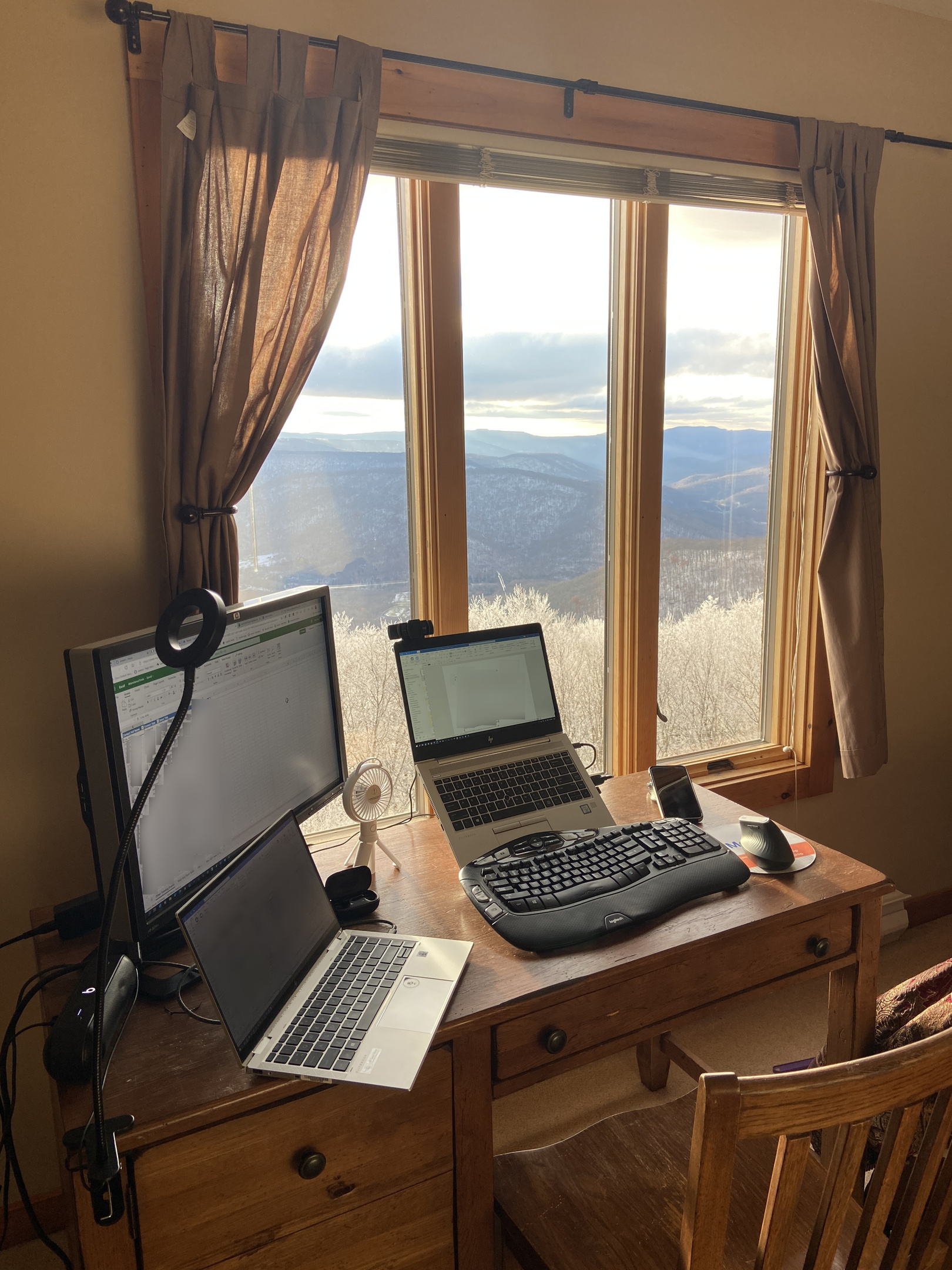 Telecommuting at its finest. We provide a monitor, printer, and scanner.