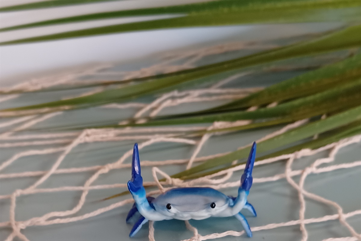 Seahorse decorations